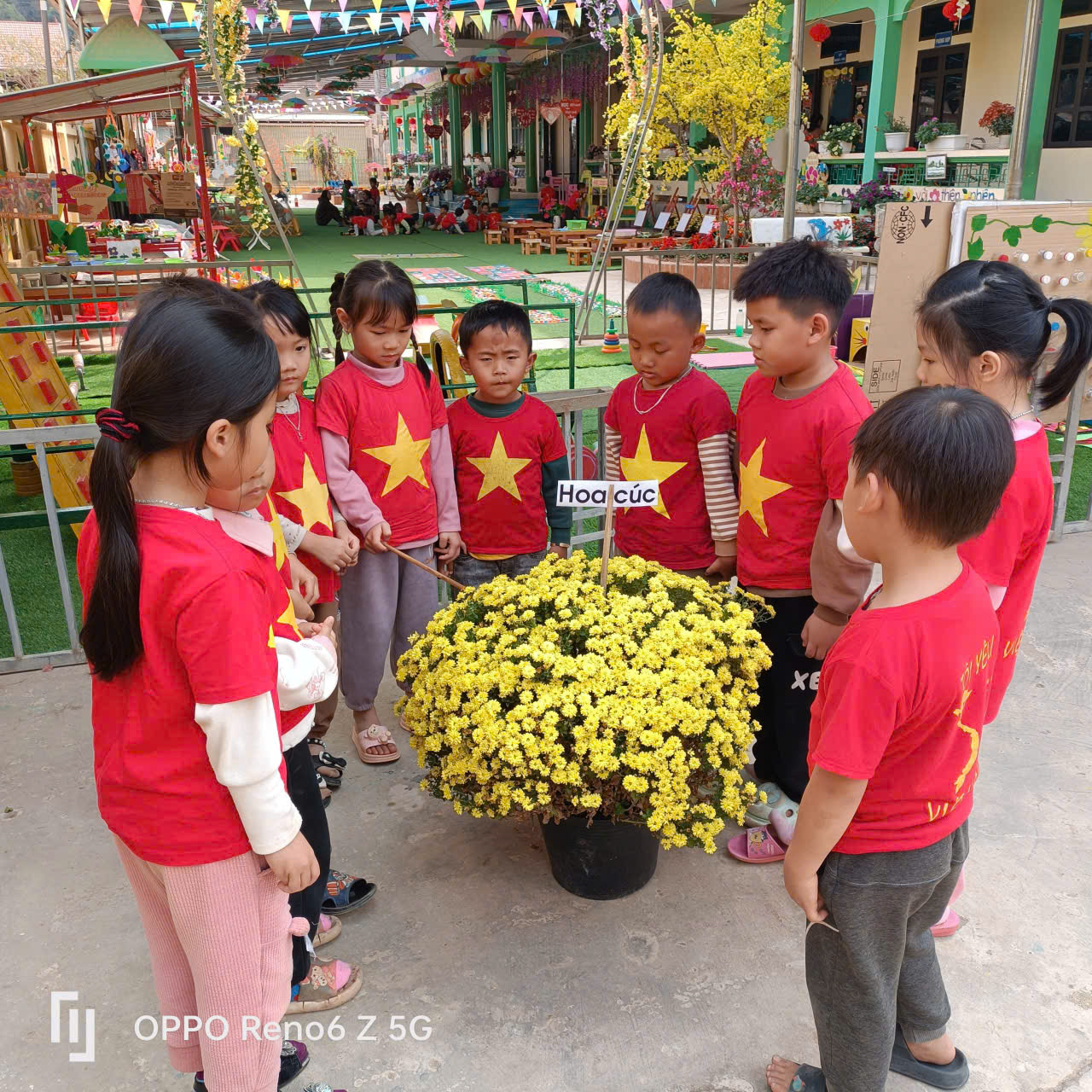 z7093110917626 f21bf6e4cf8125fb4ea24d174eadcbff